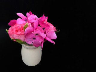 pink flower in vase on black background