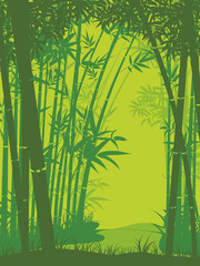 Obraz premium Scena lasu bambusowego