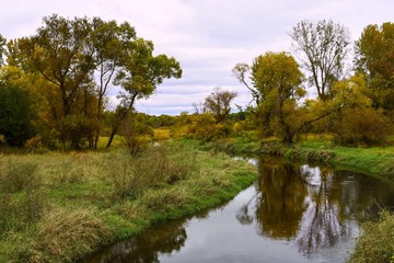 Fototapeta na wymiar River running through the field with trees