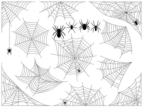 Halloween spider web. Collection of Cobweb, isolated on white.  Vector spiderweb silhouette  illustration.