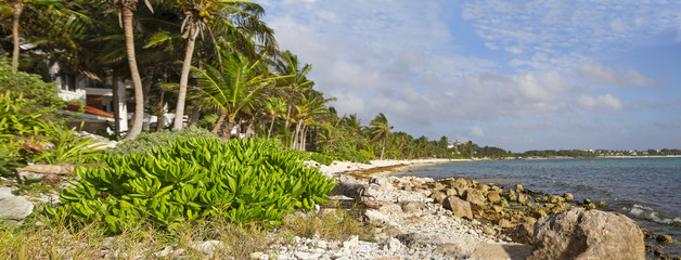         Лето,отпуск,      пляж красивый с пальмами на экзотическом острове.Панорама.