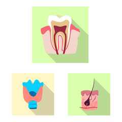 Isolated object of body and human icon. Set of body and medical vector icon for stock.