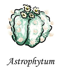 Astrophytum