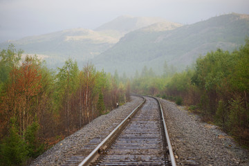 Fototapeta na wymiar Foggy August morning on the Vorkuta - Labytnangi railway line. Polar Urals, Russia