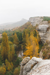 Mountain and autumn forest. Cloudy weather, fall colors, autumn landscape.