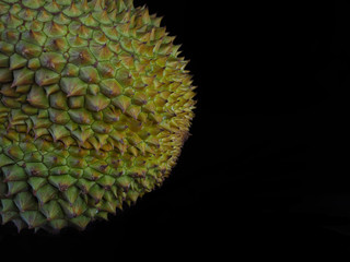 Close- up , Durain Mon Thong , king of fruits on black background and copy space design your text .