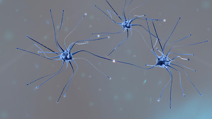 Neuroni al microscopio ottico, 3D rendering