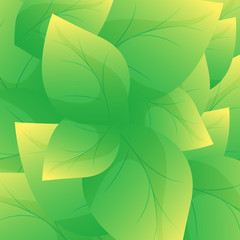Green leaf background vector.Beautiful leaves texture background.Abstract nature wallpaper.