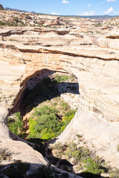 Fototapeta Sipapu Bridge in Natural Bridges National Monument, Utah, USA