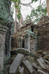 Fototapeta na wymiar Tempel in Ta Prohm mit Wurzeln 