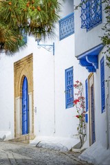 Fototapeta na wymiar Tunisian architecture