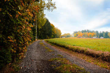 Fototapeta premium Herbst Landschaft Erzgebirge mit Wanderweg