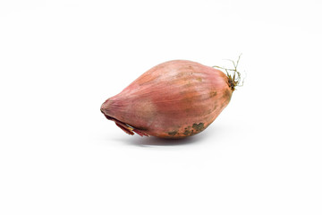 Shallot onion isolated on white background