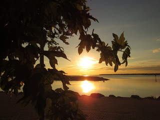 lever de soleil sur la plage du grazel et l&rsquo;&icirc;le aux oiseaux a gruissan.