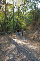 Obraz premium zwei frauen gehen mit ihren hunden auf einem weg