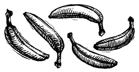 Bananas in Woodcut Look