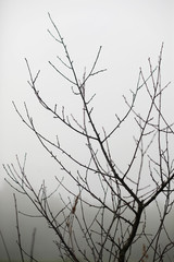 End of summer season in the park