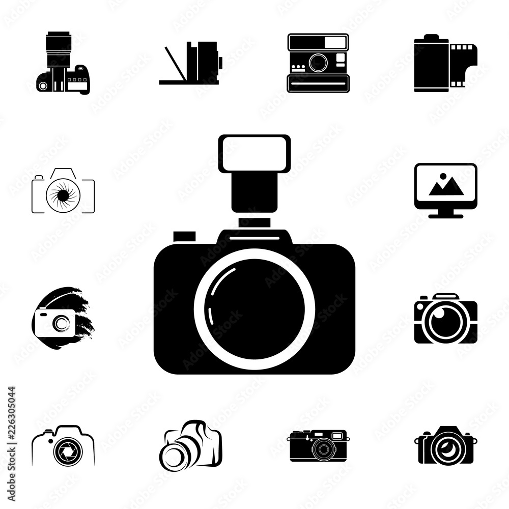 Poster camera with flash icon. detailed set of photo camera icons. premium quality graphic design icon. one