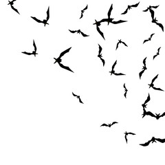 Halloween background with black bats on white. Halloween party card background template. black flying bats.
