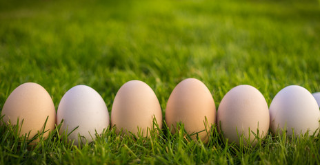 Spring Green Garden and Easter Eggs