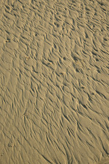Abstract sand and mud pattern