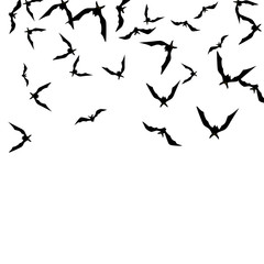 Halloween background with black bats on white. Halloween party card background template. black flying bats.