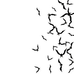 Halloween background with black bats on white. Halloween party card background template. black flying bats.