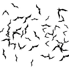 Halloween background with black bats on white. Halloween party card background template. black flying bats.