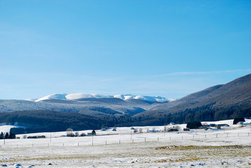 La prima neve sull'altopiano del Cansiglio,a Belluno,Italia