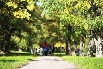 End of summer season in the park