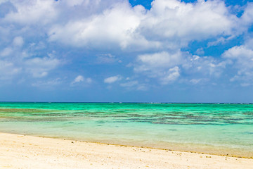沖縄石垣島　川平タバガー