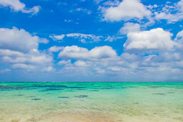 沖縄石垣島　川平タバガー