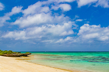 沖縄石垣島　川平タバガー