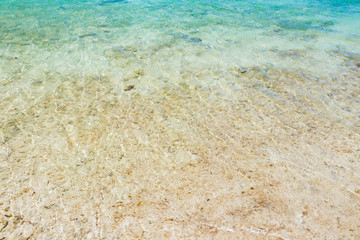 沖縄石垣島　川平タバガー