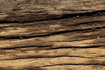 Wooden plunks as background