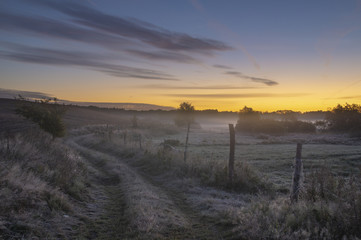 country road among fields and meadows. landscape picture resembling Italian Tuscany. Autumn-Poland,