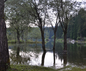 Fototapeta na wymiar laghi di fusine