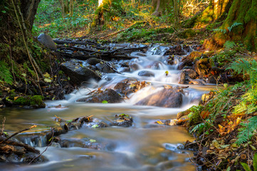 cascades and mini waterfalls on a small forest stream. The stream is created on the springs at the lake or in the Drawsko Lakeland