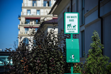 pick up after your dog