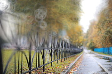 Autumn backgroun rain in the park