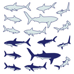 サメのイラスト
