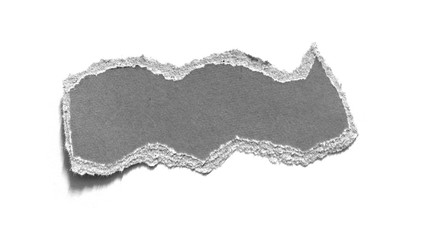 pieces of torn paper texture background, copy space.