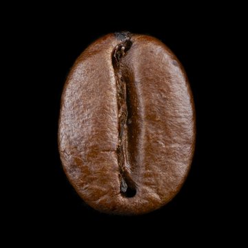 Coffee bean