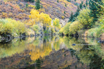 Fall color and reflection on the Roaring River, Aspen, Colorado