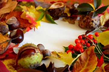 Liście i owoce jesieni © Pio Si