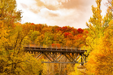 Fototapeta na wymiar railroad through the autumn forest