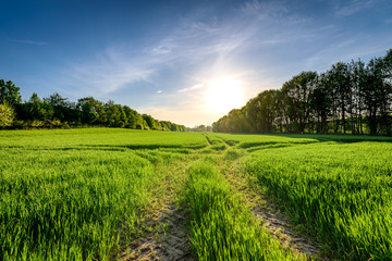 Frühlingslandschaft in der Uckermark
