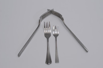Family of forks