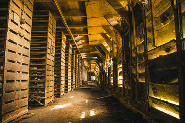 A hallway in a old factory in the Netherlands that was used in the early 50's. This factory was used to make roof tiles, and now it is abandoned for a long time.