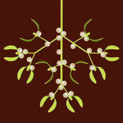 Mistletoe. Vector illustration. Mistletoe branch with berries. New Year Christmas. Traditional symbol